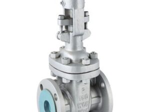 Gate Valve
