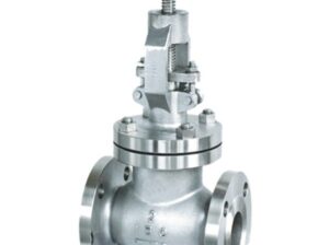 Globe Valve