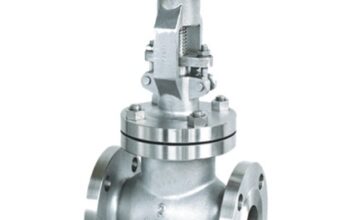 Globe Valve