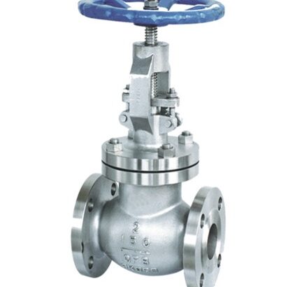 Globe Valve